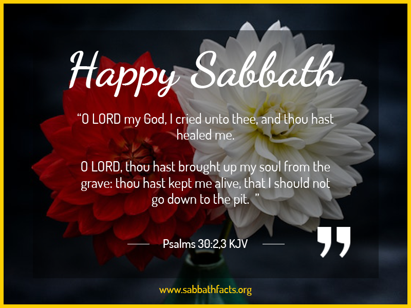 happy sabbath flowers