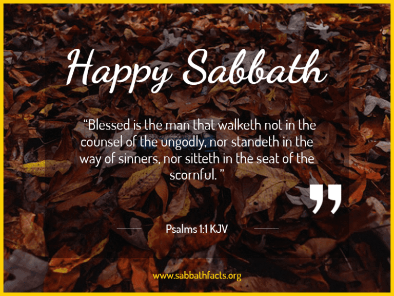 Happy Sabbath Images: Fall, Winter, Spring Pictures, Flowers